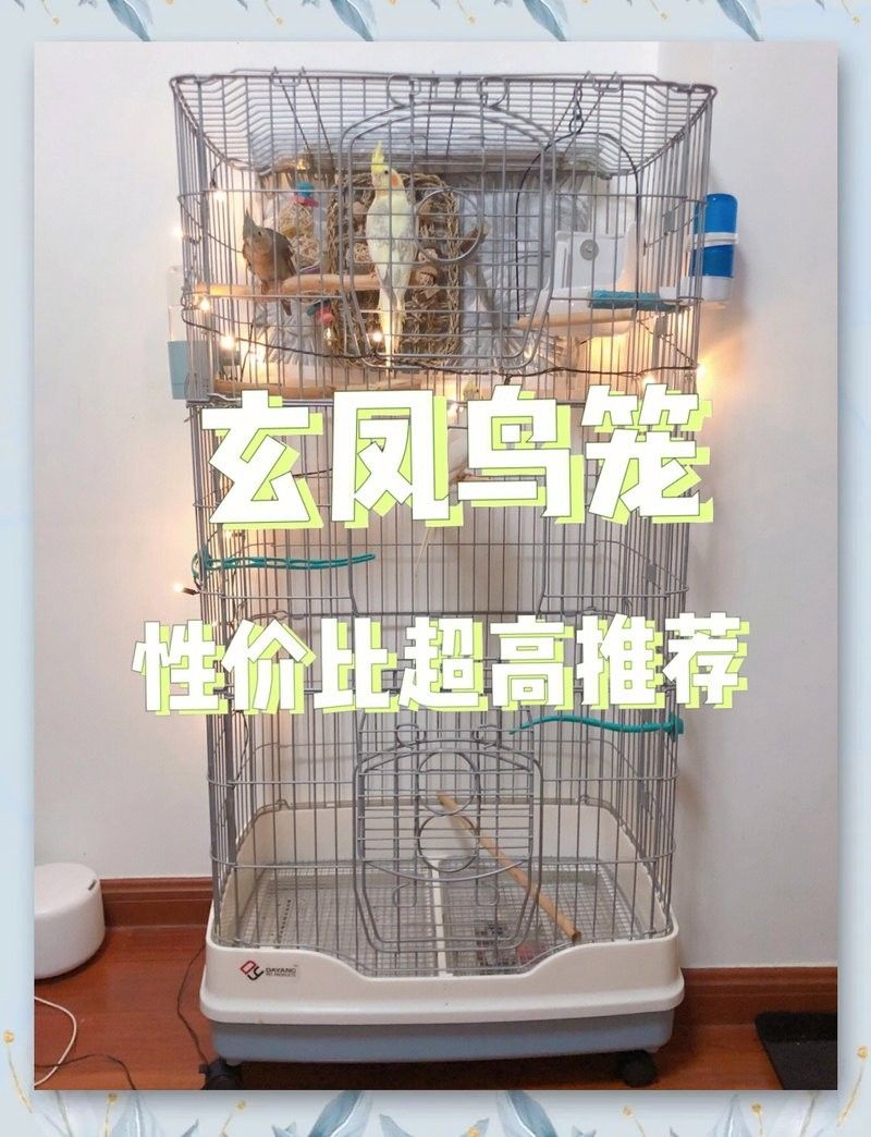 龍貓籠子的價格范圍是多少？