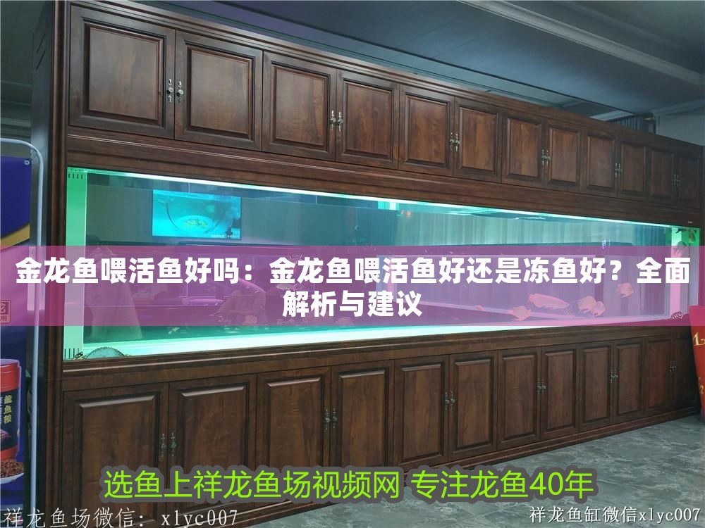 金龍魚喂活魚好嗎：金龍魚喂活魚好還是凍魚好？全面解析與建議 金龍魚喂活魚好嗎：金龍魚喂活魚好還是凍魚好？全面解析與建議 龍魚百科 第1張