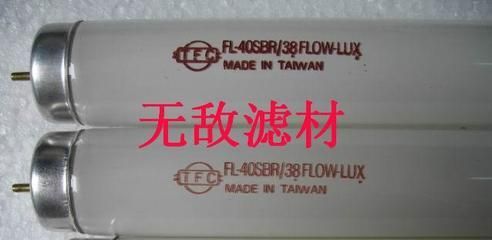 紅龍魚要用什么燈管好（養紅龍魚用什么燈好）