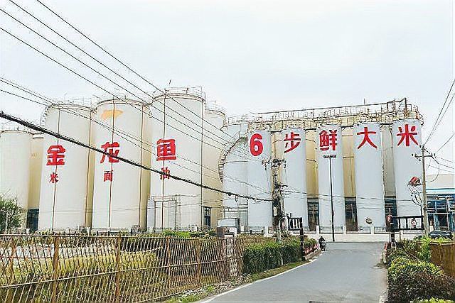 金龍魚調味品業務進展如何