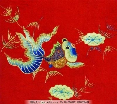 飛鳳和龍魚養在一起會被龍魚吃掉嗎：飛鳳魚和龍魚可以一起養嗎 飛鳳和龍魚養在一起會被龍魚吃掉嗎：飛鳳魚和龍魚可以一起養嗎 龍魚百科 第2張