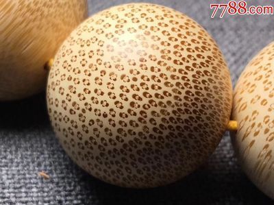 龍魚卵是什么樣子的：關(guān)于龍魚卵的一些詳細(xì)信息