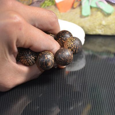 龍魚卵是什么樣子的：關(guān)于龍魚卵的一些詳細(xì)信息