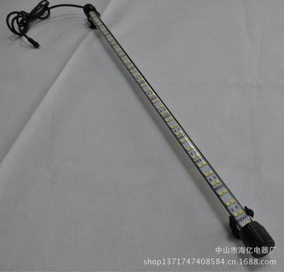 龍魚眼手術(shù)多少錢一次：龍魚眼手術(shù)的費用受多種因素影響，龍魚眼手術(shù)的費用受多種影響 龍魚眼手術(shù)多少錢一次：龍魚眼手術(shù)的費用受多種因素影響，龍魚眼手術(shù)的費用受多種影響 龍魚百科 第3張