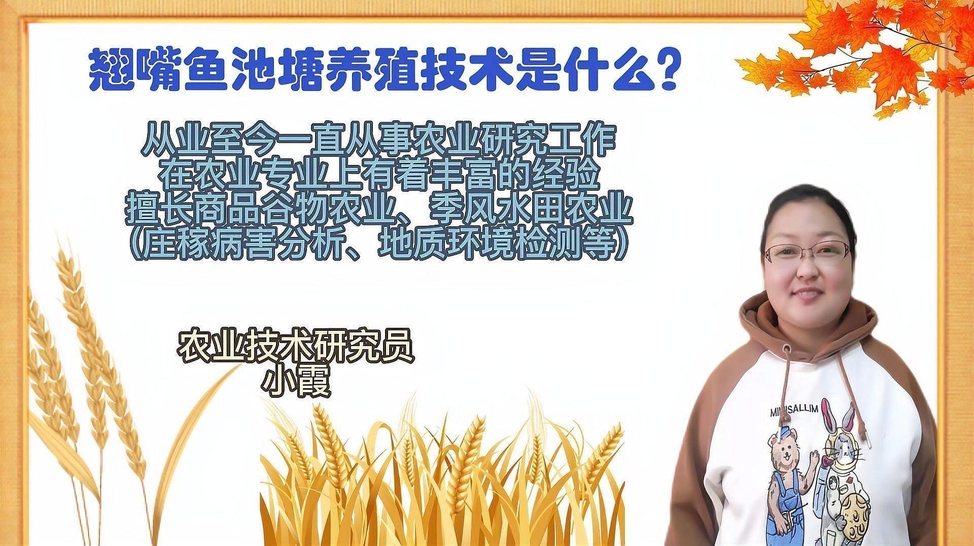 龍魚翹嘴好不好養(yǎng)活呢