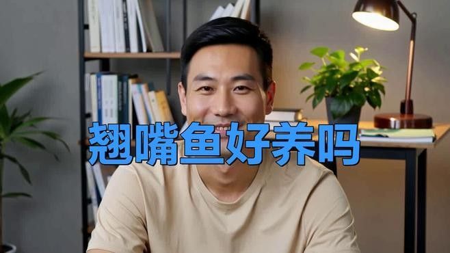 龍魚翹嘴好不好養(yǎng)活呢