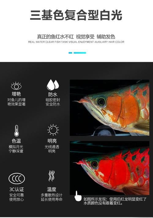 紅龍魚用黃燈好嗎圖片