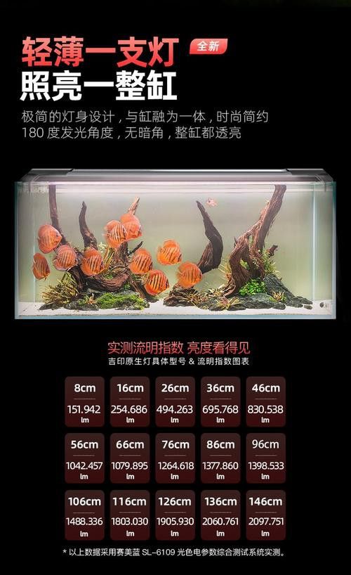 紅龍魚用黃燈好嗎圖片