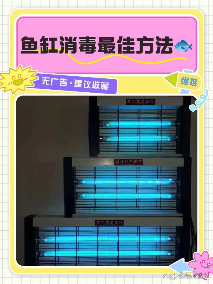 馬印水族魚缸用鹽還是鹽水清洗