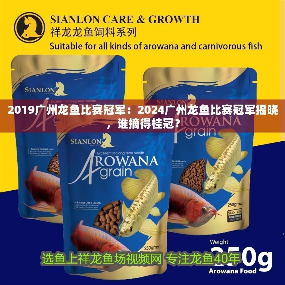 2019廣州龍魚比賽冠軍：2024廣州龍魚比賽冠軍揭曉，誰摘得桂冠？