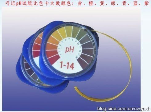 2019廣州龍魚比賽冠軍：2024廣州龍魚比賽冠軍揭曉，誰摘得桂冠？