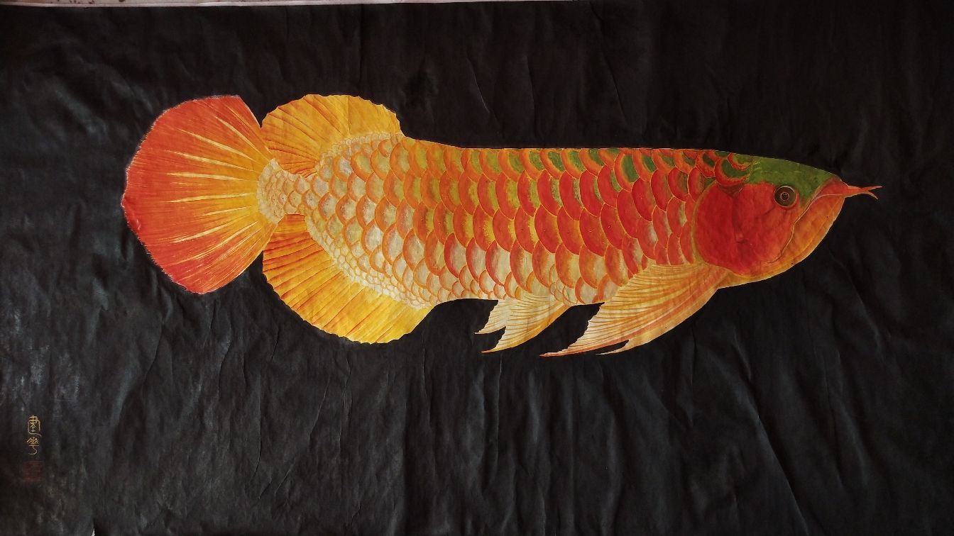 紅龍魚(yú)國(guó)畫(huà)高清：紅龍魚(yú)國(guó)畫(huà)高清圖片