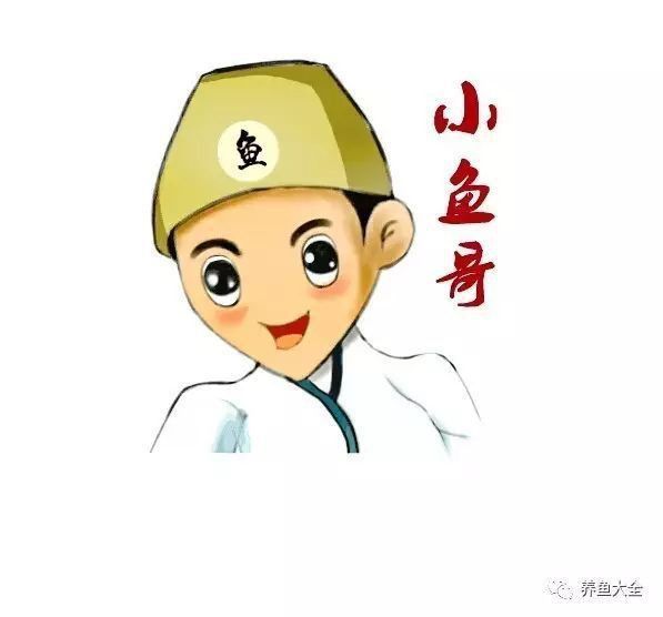 錦鯉幾種品種