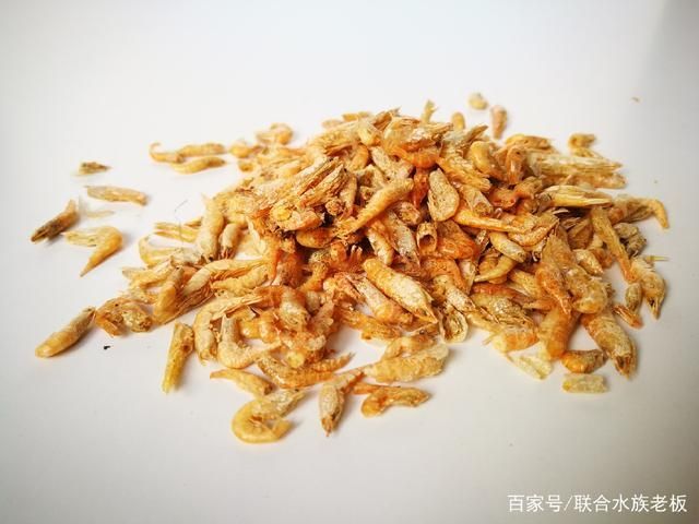 龍魚吃了不新鮮的蝦會怎么樣：龍魚吃了不新鮮的蝦會怎么樣龍魚吃了不新鮮的蝦會怎么樣