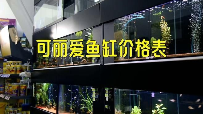 可麗愛(ài)一米五魚(yú)缸價(jià)格