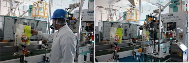 金龍魚打包工：金龍魚打包工職位