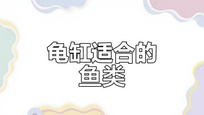 哪些品種的魚不適合與龍龜混養？