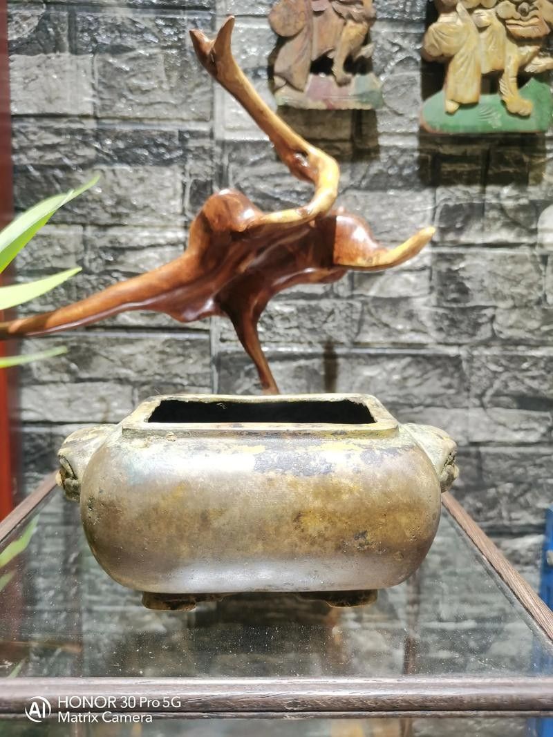 龍頭魚擺件清洗劑哪里可以買到？