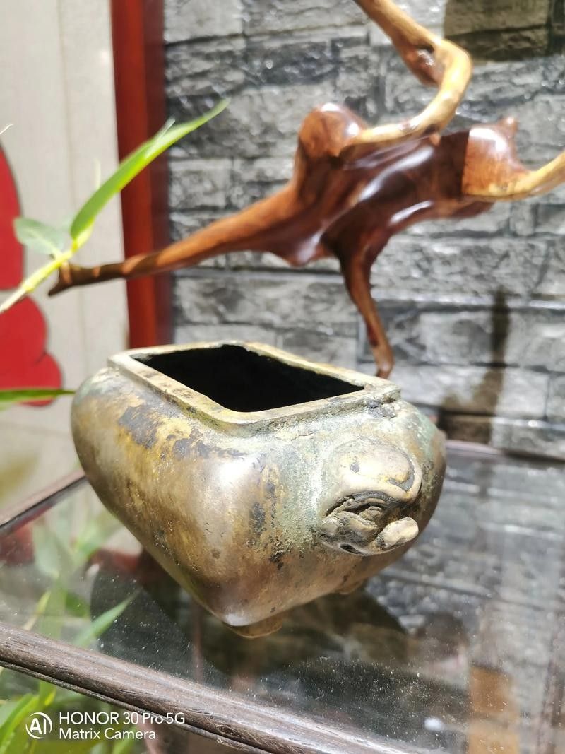 龍頭魚擺件清洗劑哪里可以買到？