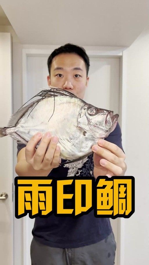 給我一些龍王魚的圖片 給我一些龍王魚的圖片 龍魚百科 第16張