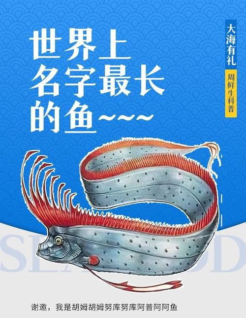 給我一些龍王魚的圖片 給我一些龍王魚的圖片 龍魚百科 第29張