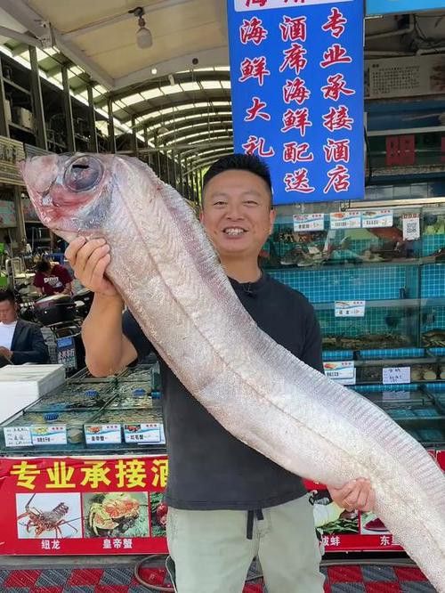 給我一些龍王魚的圖片 給我一些龍王魚的圖片 龍魚百科 第36張