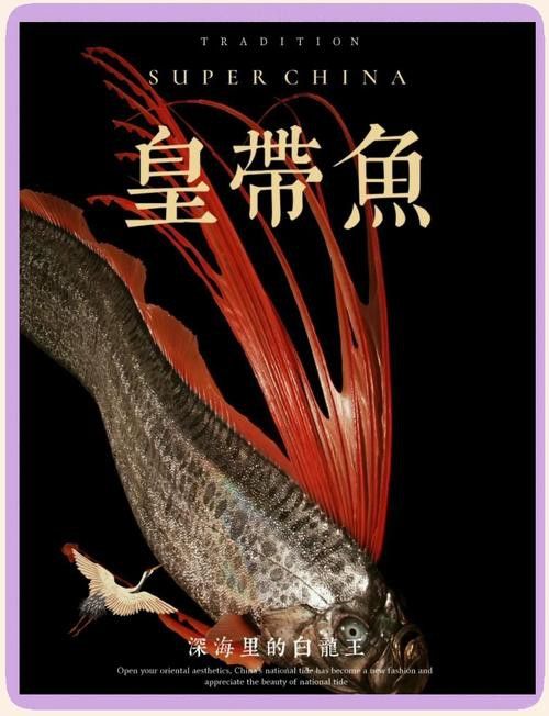 給我一些龍王魚的圖片 給我一些龍王魚的圖片 龍魚百科 第40張
