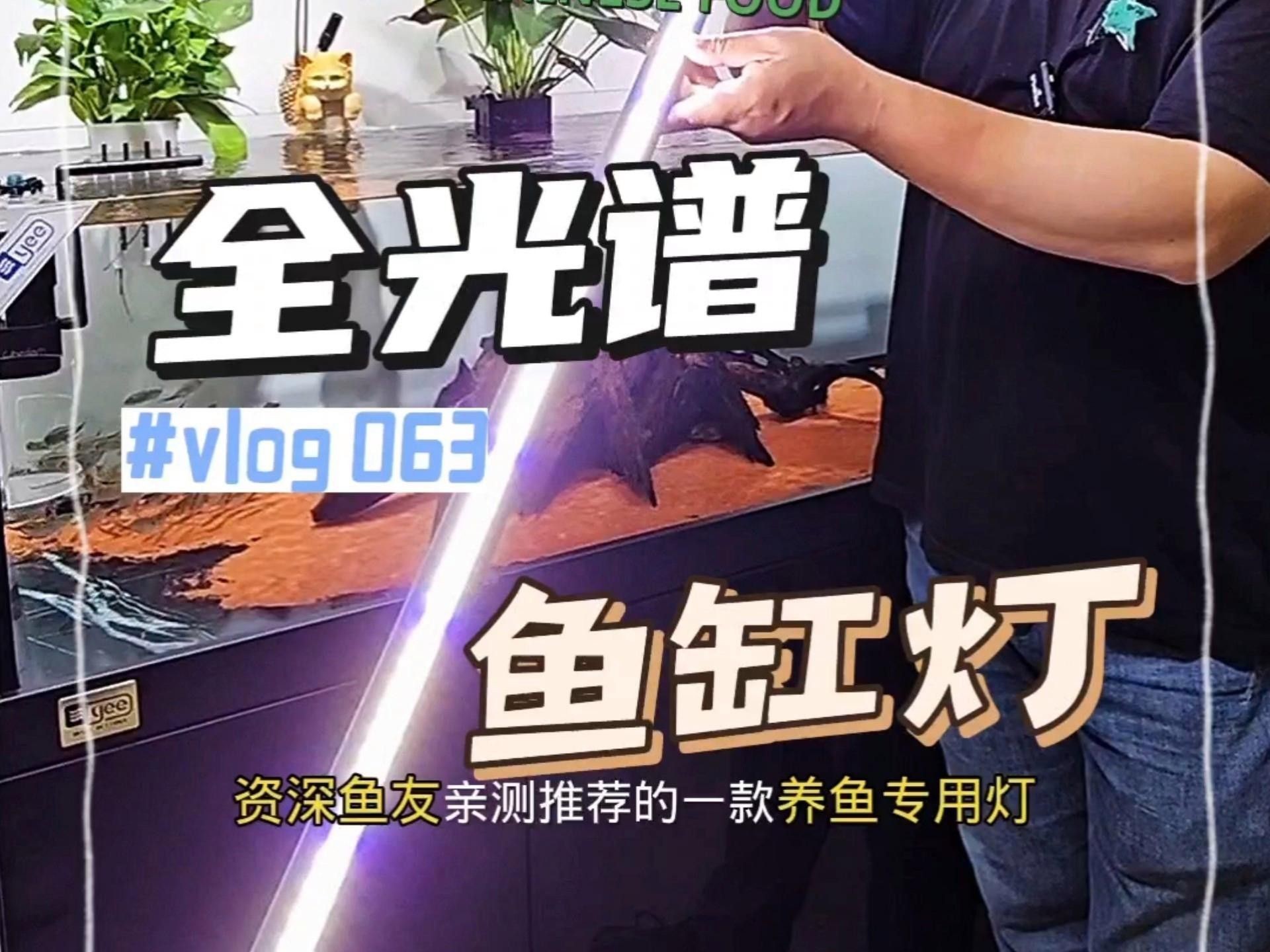 推薦一些適合龍魚缸的LED燈 推薦一些適合龍魚缸的LED燈 龍魚百科 第1張