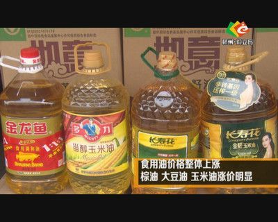 金龍魚好還是長壽花（金龍魚與長壽花市場占比對比長壽花玉米油的營養價值分析）
