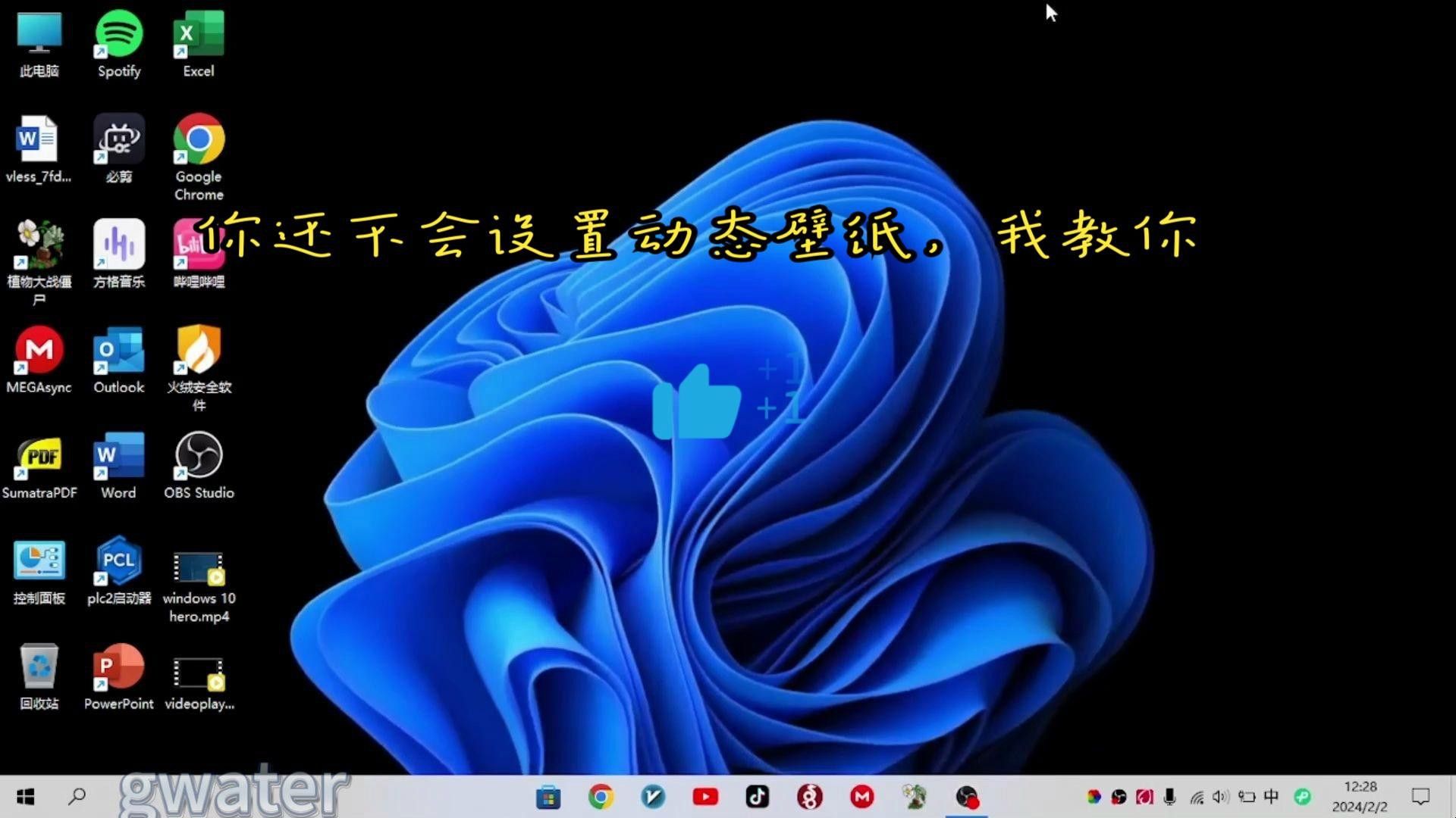如何設(shè)置電腦動態(tài)壁紙？ 如何設(shè)置電腦動態(tài)壁紙？ 龍魚百科 第1張