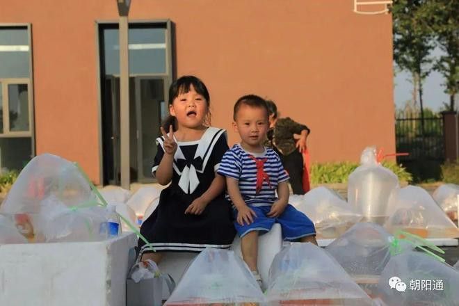 北京龍魚批發市場營業時間