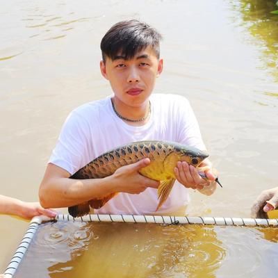 龍魚缸有必要雙水位嗎：龍魚缸是否需要雙水位設計 龍魚缸有必要雙水位嗎：龍魚缸是否需要雙水位設計 龍魚百科 第1張