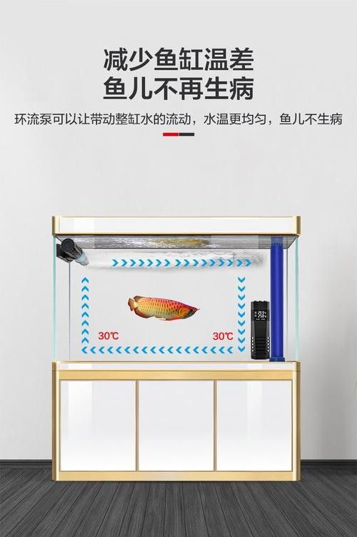 紅龍魚捕食時需要哪些玩具？ 紅龍魚捕食時需要哪些玩具？ 龍魚百科 第2張