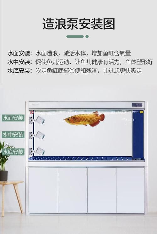 紅龍魚捕食時需要哪些玩具？ 紅龍魚捕食時需要哪些玩具？ 龍魚百科 第4張