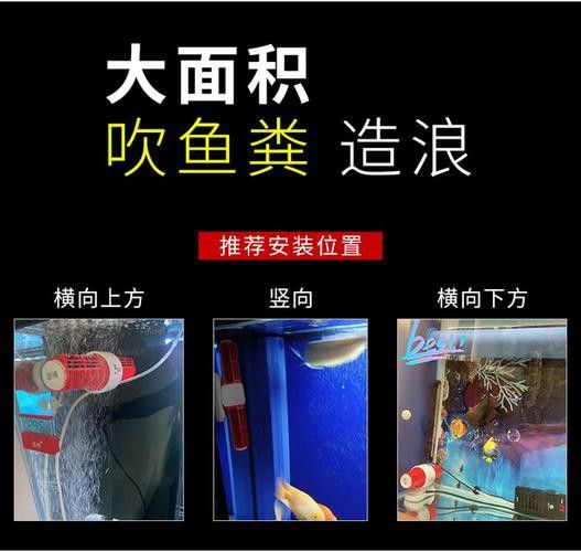 紅龍魚捕食時需要哪些玩具？ 紅龍魚捕食時需要哪些玩具？ 龍魚百科 第3張