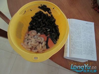 龍魚一次可以拔幾個鱗片：龍魚拔鱗后如何快速恢復