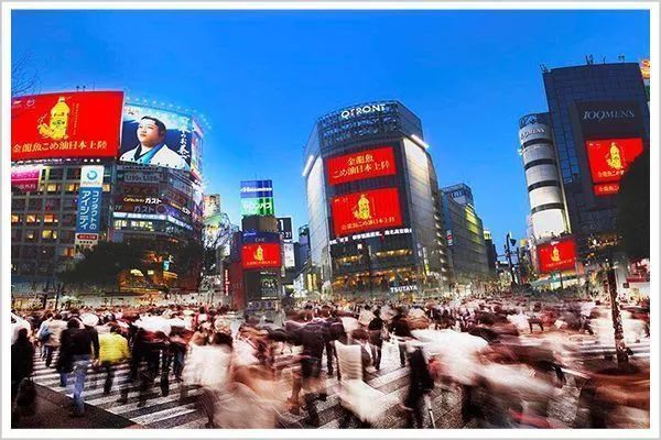金龍魚 日本：金龍魚在日本市場的前景依然廣闊，