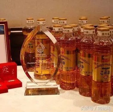 金龍魚 日本：金龍魚在日本市場的前景依然廣闊，
