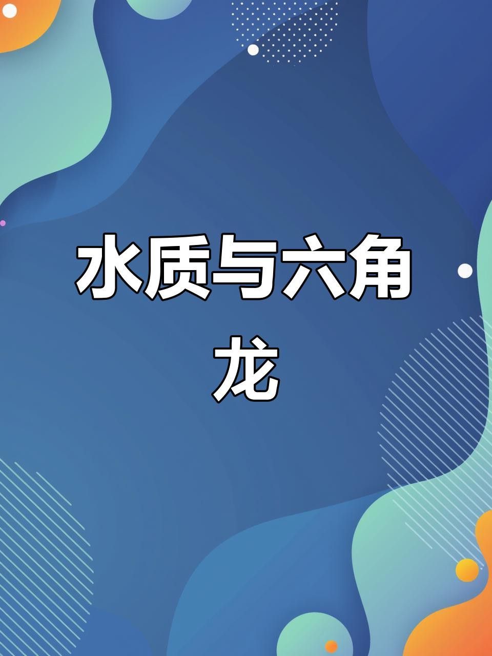 如何預防六角龍魚疾病？