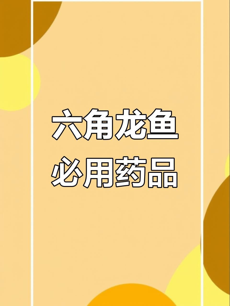 如何預(yù)防六角龍魚疾病？