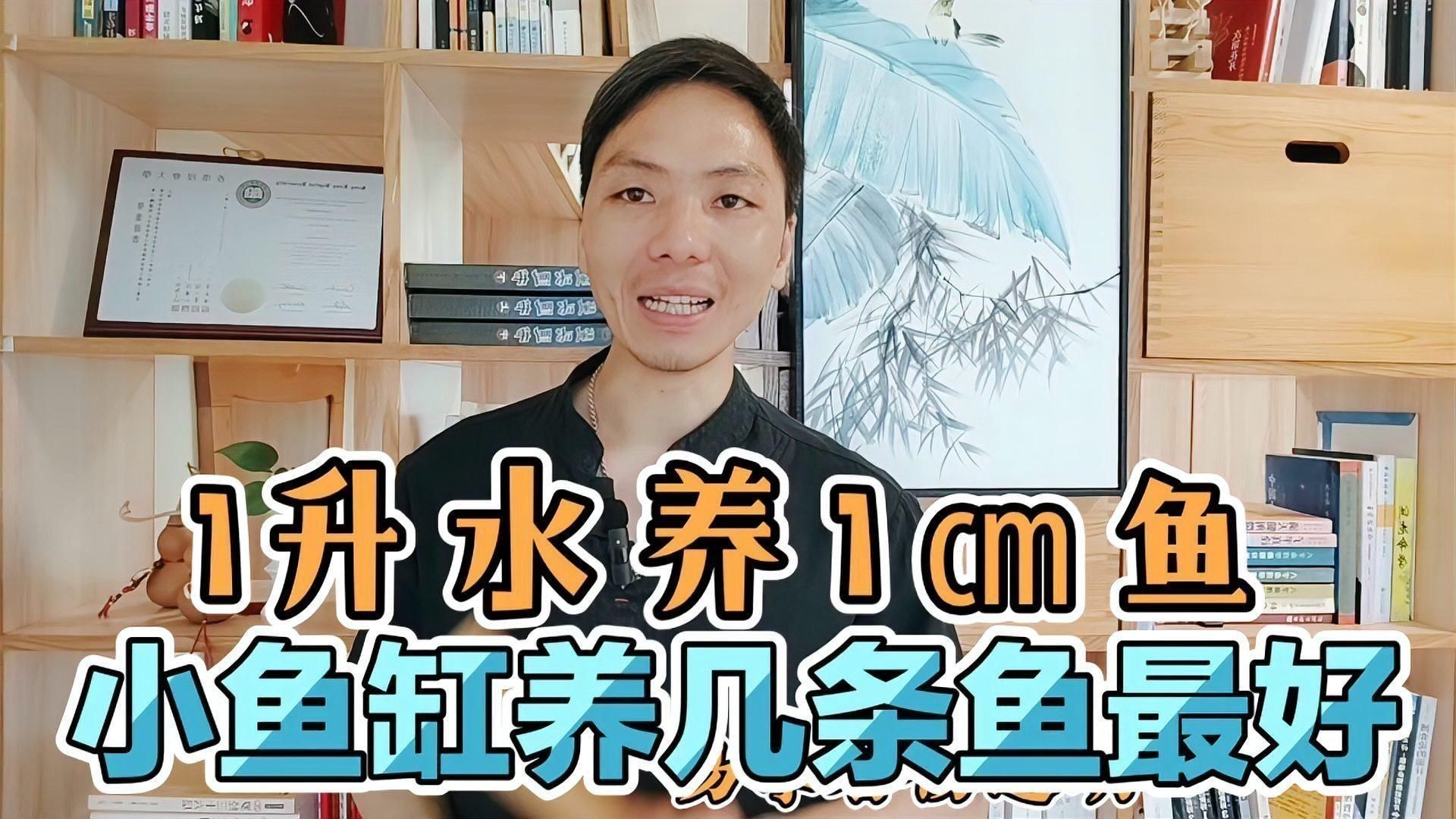兩個魚缸一共養幾條好