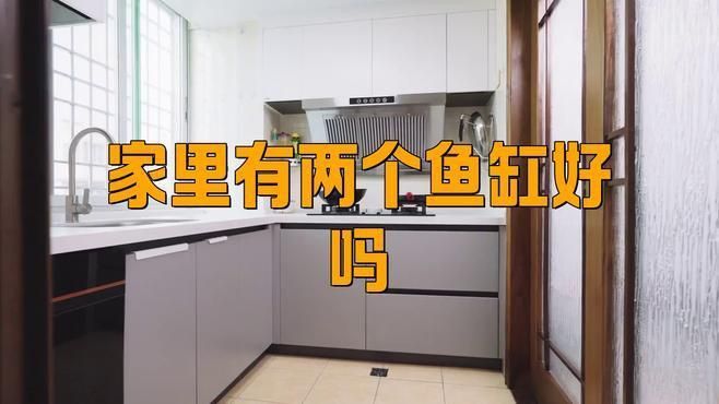 兩個魚缸一共養幾條好