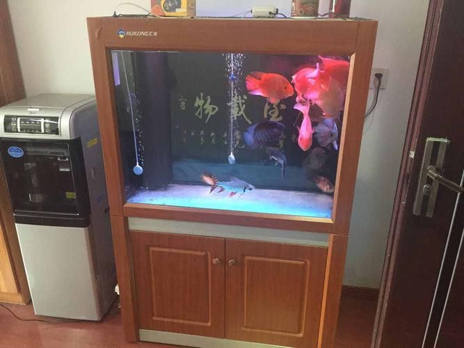 匯龍魚缸價格表圖片 匯龍魚缸價格表圖片 龍魚百科 第5張