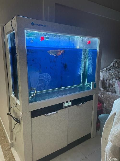 匯龍魚缸價格表圖片 匯龍魚缸價格表圖片 龍魚百科 第4張