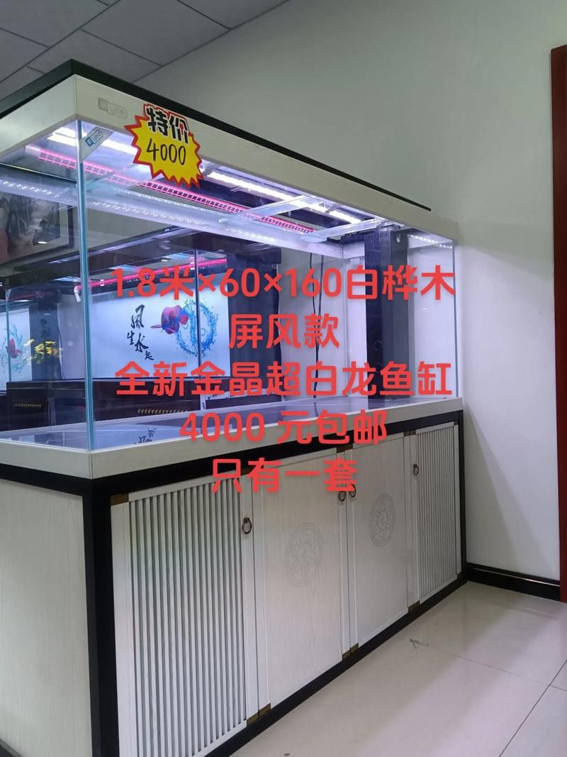 匯龍魚缸價格表圖片 匯龍魚缸價格表圖片 龍魚百科 第7張