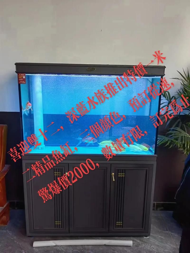 匯龍魚缸價格表圖片 匯龍魚缸價格表圖片 龍魚百科 第12張