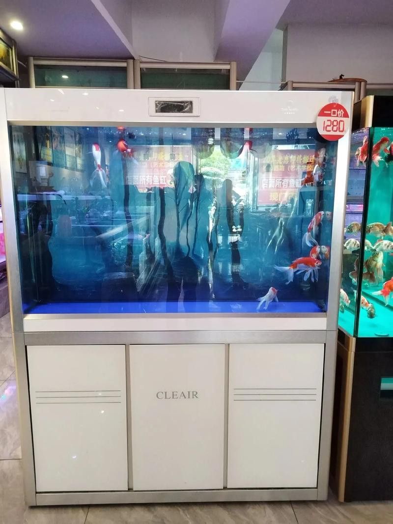 匯龍魚缸價格表圖片 匯龍魚缸價格表圖片 龍魚百科 第15張