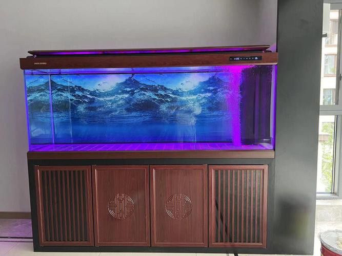 匯龍魚缸價格表圖片 匯龍魚缸價格表圖片 龍魚百科 第19張