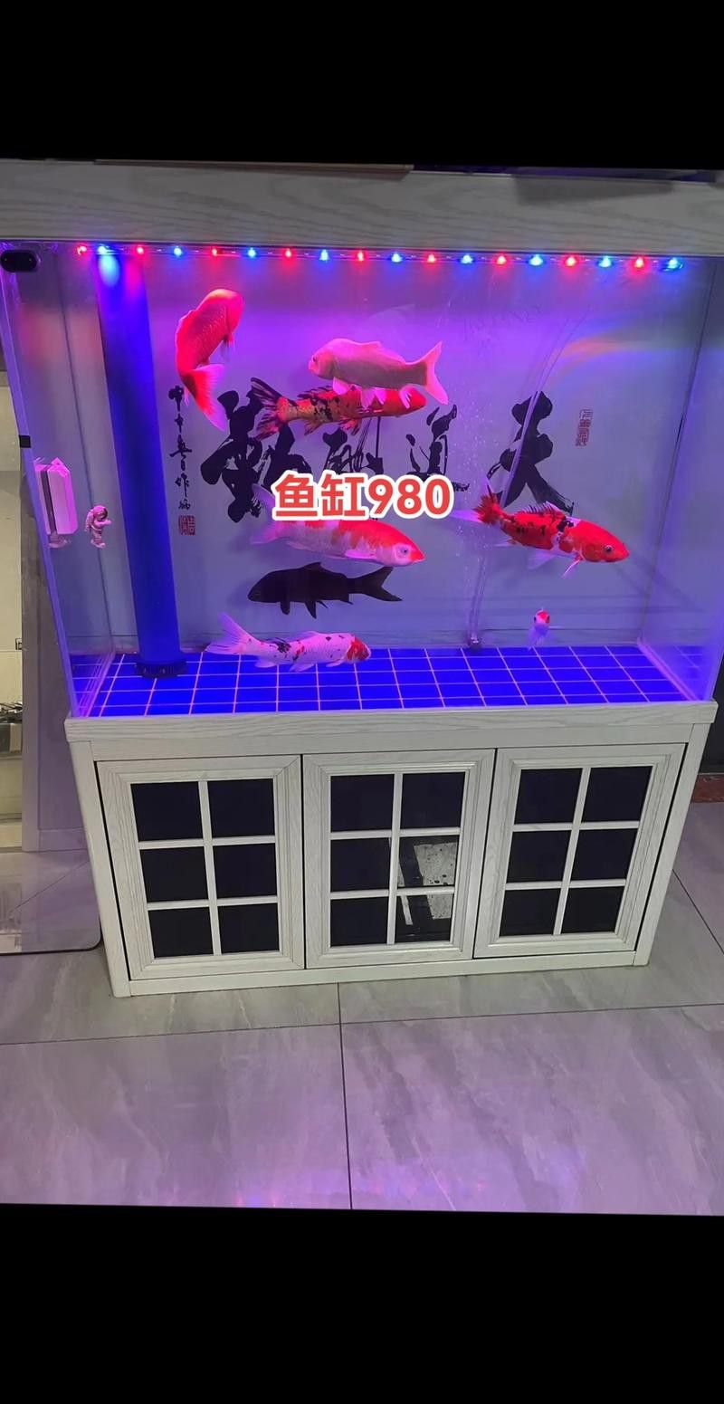 匯龍魚缸價格表圖片 匯龍魚缸價格表圖片 龍魚百科 第18張