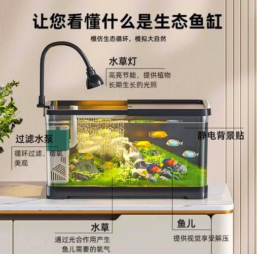 匯龍魚缸價格表圖片 匯龍魚缸價格表圖片 龍魚百科 第23張